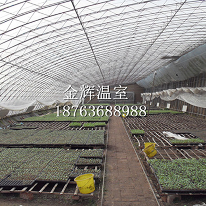 蔬菜大棚冰雹等強對流天氣應該如何做好防護？