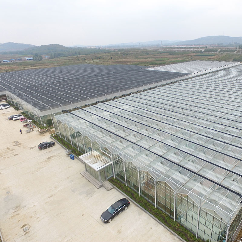 智能玻璃溫室